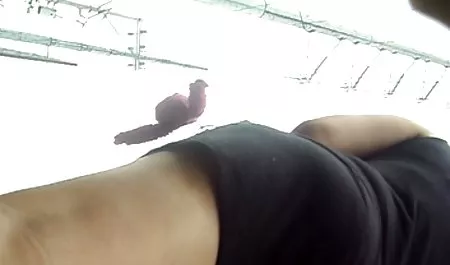 Dua jerman College Remaja difilmkan dalam lesbian setelah film bokep barat full movie pesta