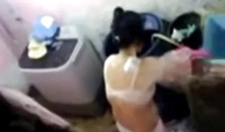 Pertukaran bertanduk kerabat film bookep dan peduli