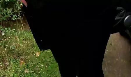 Hot jinx Maze - DP orang latin anal film bokep paling hot orgasme ejakulasi di muka seks Bertiga!!